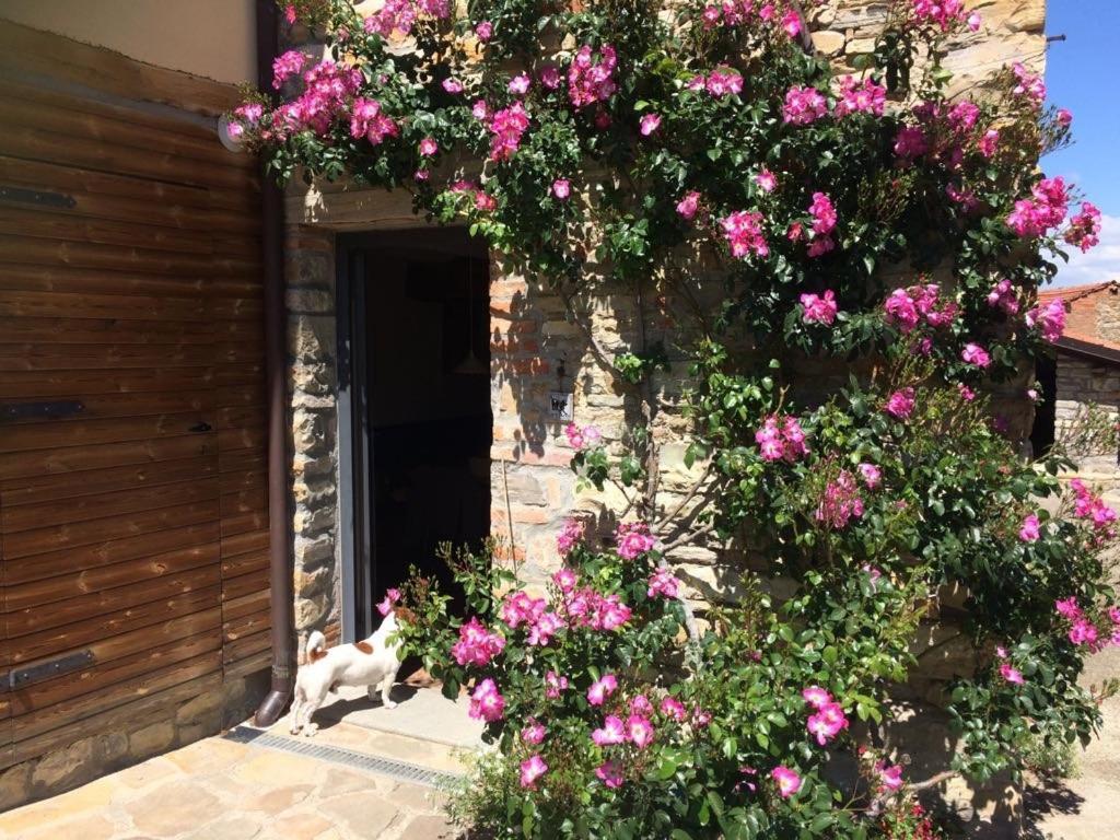 Nido D'Amore Nei Colori Dernice Εξωτερικό φωτογραφία