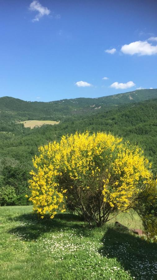 Nido D'Amore Nei Colori Dernice Εξωτερικό φωτογραφία